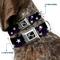 Show in main carousel: Buckle-Down Glowing Stars in Space Dog Collar, Medium: 16 to 23-in neck, 1.5-in wide slide 2 of 8