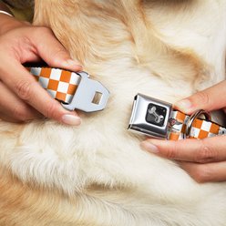 Buckle-Down Checker Dog Collar, Orange, Medium: 16 to 23-in neck, 1.5-in wide slide 2 of 8