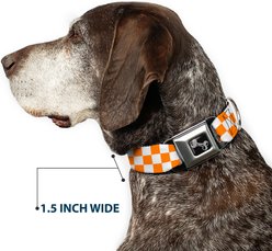 Buckle-Down Checker Dog Collar, Orange, Large: 15 to 24-in neck, 1-in wide slide 2 of 8
