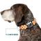 Show in main carousel: Buckle-Down Checker Dog Collar, Orange, Large: 20 to 31-in neck, 1.5-in wide slide 8 of 9