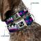 Show in main carousel: Buckle-Down Crown Princess Dog Collar, Small: 9.5 to 13-in neck, 1-in wide slide 2 of 8