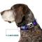Show in main carousel: Buckle-Down Crown Princess Dog Collar, Small: 9.5 to 13-in neck, 1-in wide slide 7 of 8