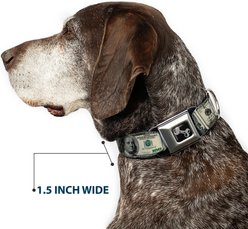 Buckle-Down 100 Dollar Bills Dog Collar, Small: 13 to 17-in neck, 1.5-in wide slide 2 of 8