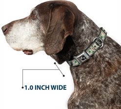 Buckle-Down 100 Dollar Bills Dog Collar, Medium: 16 to 23-in neck, 1.5-in wide slide 2 of 8