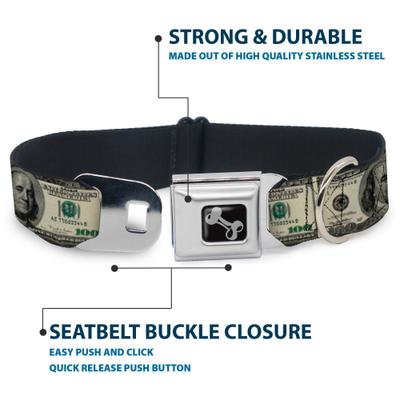 Show full view: Buckle-Down 100 Dollar Bills Dog Collar, Small: 9.5 to 13-in neck, 1-in wide slide 4 of 8