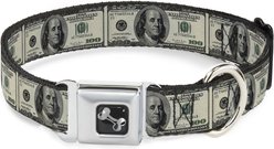 Buckle-Down 100 Dollar Bills Dog Collar, Medium: 16 to 23-in neck, 1.5-in wide