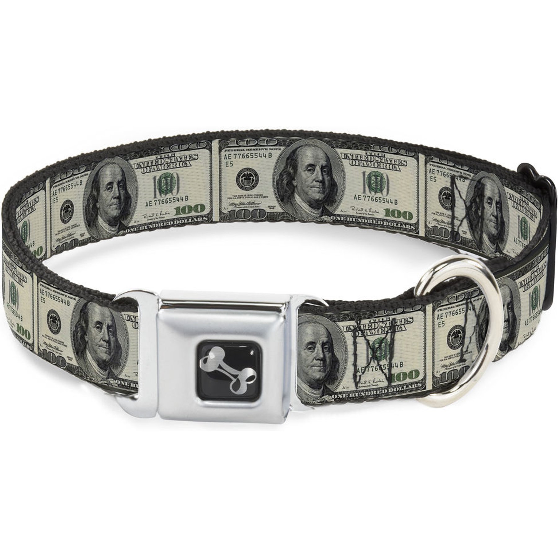 Buckle-Down 100 Dollar Bills Dog Collar, Medium: 11 to 16.5-in neck, 1-in wide