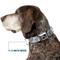 Show in main carousel: Buckle-Down Camo Dog Collar, Grey, Medium: 11 to 16.5-in neck, 1-in wide slide 7 of 8