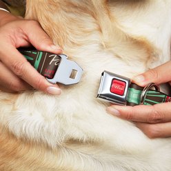 Buckle-Down The Coca-Cola Company Coke Drink Coca Cola Pause & Refresh Dog Collar, Small: 9.5 to 13-in neck, 1-in wide slide 2 of 8