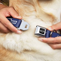 Buckle-Down GM General Motors 1965 Chevrolet Bowtie Dog Collar, Blue/White, Large: 15 to 24-in neck, 1-in wide slide 2 of 8
