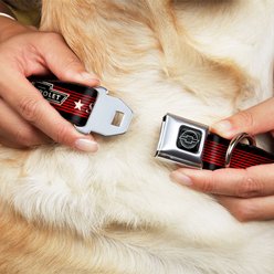 Buckle-Down GM General Motors Chevrolet Bowtie Since 1911 Dog Collar, Medium: 16 to 23-in neck, 1.5-in wide slide 2 of 8