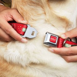 Buckle-Down The Coca-Cola Company Vintage Coca Cola Delicious Go Refreshed Dog Collar, Small: 9.5 to 13-in neck, 1-in wide slide 2 of 8