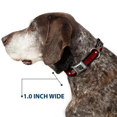Show full view: Buckle-Down GM General Motors Chevrolet Bowtie Since 1911 Dog Collar, Large: 15 to 24-in neck, 1-in wide slide 7 of 9