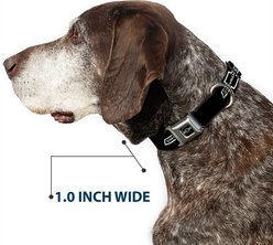 Buckle-Down GM General Motors 1965 Chevrolet Bowtie Dog Collar, Black/White, Small: 9.5 to 13-in neck, 1-in wide slide 2 of 8