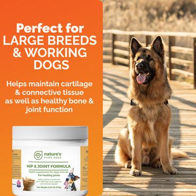 Show full view: Nature's Pure Edge Hip & Joint & Tumeric Dog & Cat Supplement, 6-oz jar slide 9 of 11