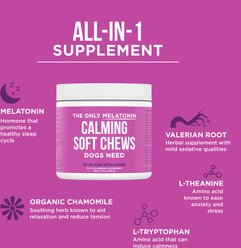 Natural Rapport Melatonin Calming Soft Chews Supplement for Dogs, 120 count slide 2 of 7