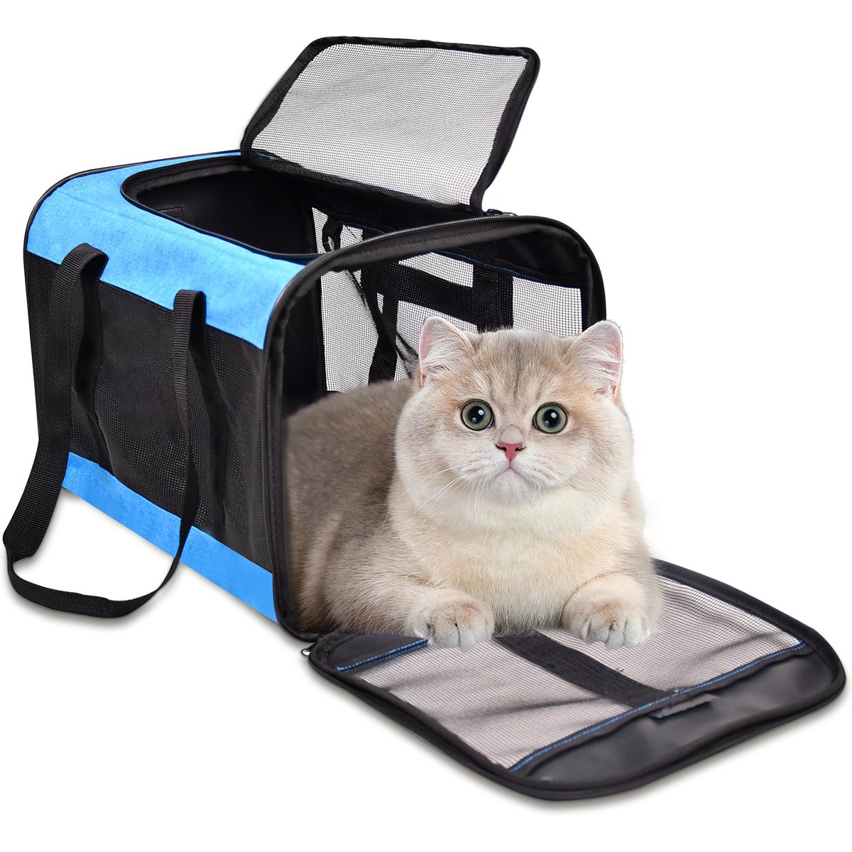 GOOPAWS Soft-Sided Airline Approved Bag Cat Carrier, 17-in, Turquoise