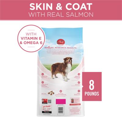 Show full view: Purina ONE +Plus Adult Skin & Coat Formula Dry Dog Food, 8-lb bag slide 3 of 11