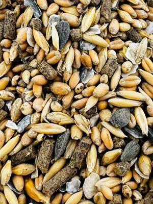 Show full view: Modesto Milling Organic 18% Protein Whole Grain Layer Chicken Feed, 10-lb bag slide 3 of 5