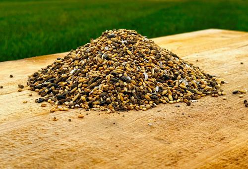 Show full view: Modesto Milling Organic 18% Protein Whole Grain Layer Chicken Feed, 10-lb bag slide 2 of 5