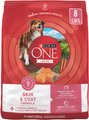 Purina ONE +Plus Adult Skin & Coat Formula Dry Dog Food, 8-lb bag