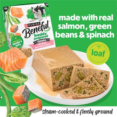 Show full view: Purina Beneful Freshly Prepared High Protein Classics with Salmon, Green Beans & Spinach Chunks in Gravy Wet Dog Food, 9.5-oz carton, 6 count slide 4 of 10
