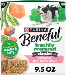 Purina Beneful Freshly Prepared High Protein Classics with Salmon, Green Beans & Spinach Chunks in Gravy Wet Dog Food, 9.5-oz carton, 6 count