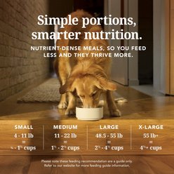 K9 Natural New Zealand Hoki & Beef Feast Grain-Free Freeze-Dried Dog Food, 1.1-lb bag slide 2 of 7