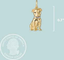Scamper & Co Pitbull Sterling Silver Charm slide 2 of 2