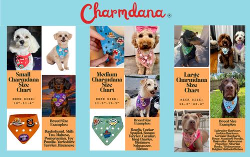 Show full view: WagAround Town Charmdana Halloween Waterproof Flexible Customizable Dog Bandana with Charms Here for Treats/Ate My Costume, Orange, Small slide 9 of 9