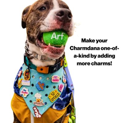 Show full view: WagAround Town Charmdana Waterproof Flexible Customizable Dog Bandana with Charms, Seafoam, Small slide 7 of 9