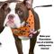 Show in main carousel: WagAround Town Charmdana Halloween Waterproof Flexible Customizable Dog Bandana with Charms Wicked Cute/Happy Halloween, Orange, Small slide 5 of 9