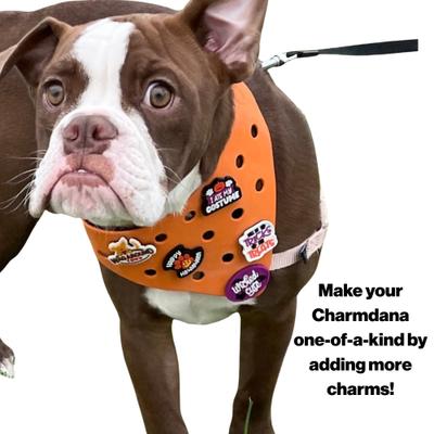 Show full view: WagAround Town Charmdana Halloween Waterproof Flexible Customizable Dog Bandana with Charms Wicked Cute/Happy Halloween, Orange, Small slide 5 of 9