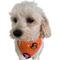 Show in main carousel: WagAround Town Charmdana Halloween Waterproof Flexible Customizable Dog Bandana with Charms Wicked Cute/Happy Halloween, Orange, Small slide 2 of 9