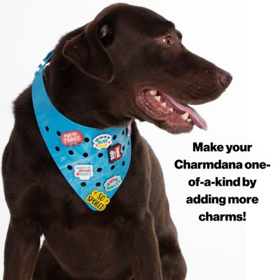 Show full view: WagAround Town Charmdana Waterproof Flexible Customizable Dog Bandana with Charms, Blue Wave, Large slide 6 of 9