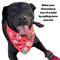 Show in main carousel: WagAround Town Charmdana Christmas Waterproof Flexible Customizable Dog Bandana with Charms, Red, Large slide 9 of 10