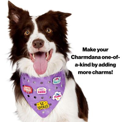 Show full view: WagAround Town Charmdana Waterproof Flexible Customizable Dog Bandana with Charms, Violet, Large slide 8 of 9