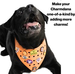 WagAround Town Charmdana Halloween Waterproof Flexible Customizable Dog Bandana with Charms Wicked Cute/Happy Halloween, Orange, Large slide 2 of 9