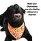 Show in main carousel: WagAround Town Charmdana Halloween Waterproof Flexible Customizable Dog Bandana with Charms Wicked Cute/Happy Halloween, Orange, Large slide 5 of 9