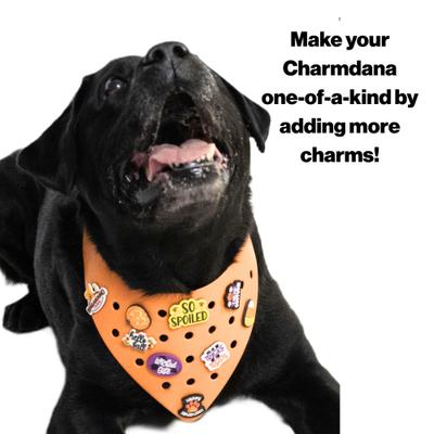 Show full view: WagAround Town Charmdana Halloween Waterproof Flexible Customizable Dog Bandana with Charms Wicked Cute/Happy Halloween, Orange, Large slide 5 of 9