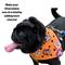 Show in main carousel: WagAround Town Charmdana Halloween Waterproof Flexible Customizable Dog Bandana with Charms Here for Treats/Ate My Costume, Orange, Small slide 5 of 9