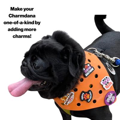 Show full view: WagAround Town Charmdana Halloween Waterproof Flexible Customizable Dog Bandana with Charms Here for Treats/Ate My Costume, Orange, Small slide 5 of 9
