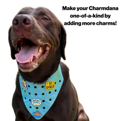 Show full view: WagAround Town Charmdana Waterproof Flexible Customizable Dog Bandana with Charms, Seafoam, Small slide 8 of 9