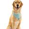 Show in main carousel: WagAround Town Charmdana Waterproof Flexible Customizable Dog Bandana with Charms, Seafoam, Large slide 2 of 9