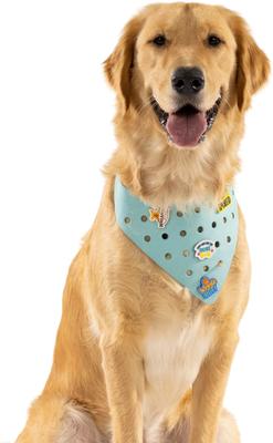 Show full view: WagAround Town Charmdana Waterproof Flexible Customizable Dog Bandana with Charms, Seafoam, Large slide 2 of 9