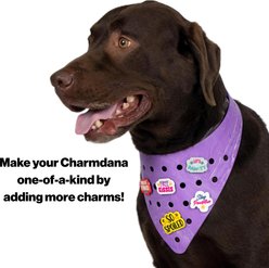 WagAround Town Charmdana Waterproof Flexible Customizable Dog Bandana with Charms, Violet, Medium slide 2 of 9