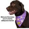 Show in main carousel: WagAround Town Charmdana Waterproof Flexible Customizable Dog Bandana with Charms, Violet, Large slide 9 of 9