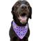 Show in main carousel: WagAround Town Charmdana Waterproof Flexible Customizable Dog Bandana with Charms, Violet, Large slide 3 of 9