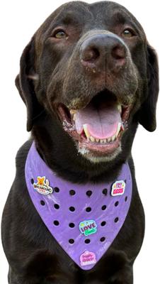 Show full view: WagAround Town Charmdana Waterproof Flexible Customizable Dog Bandana with Charms, Violet, Large slide 3 of 9