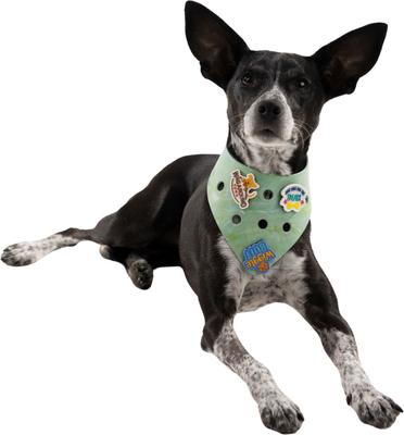 Show full view: WagAround Town Charmdana Waterproof Flexible Customizable Dog Bandana with Charms, Seafoam, Small slide 2 of 9